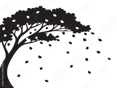 Cherry blossoms raining petals silhouette with magical spring mood 