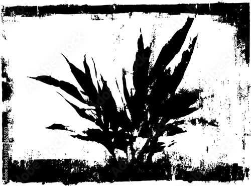 Grunge distressed texture with abstract silhouette of tropical leaves and rough border design