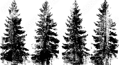 Silhouettes of tall pine trees with detailed branches and needles in natural forest setting