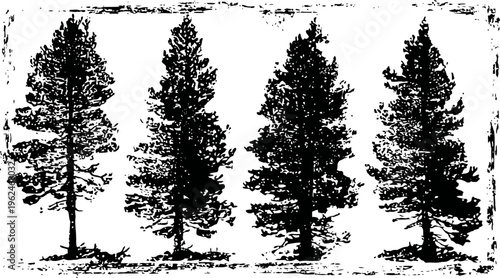 four tall pine trees silhouettes in vintage grunge with textured background