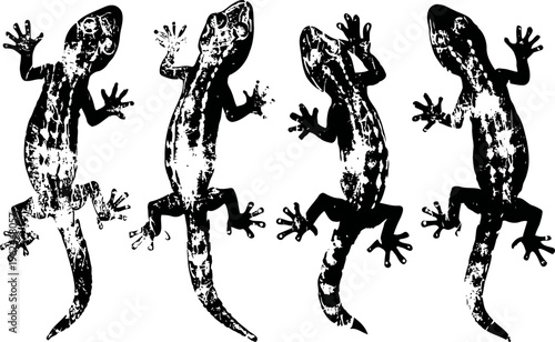 four black and white gecko silhouettes with detailed textured patterns, climbing poses isolated on white