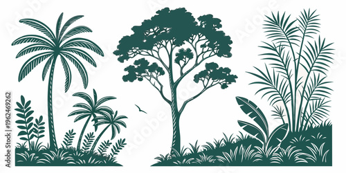 A serene tropical forest scene with a variety of trees and plants.