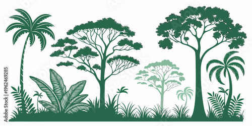 Tropical forest with tall palm trees and lush green vegetation