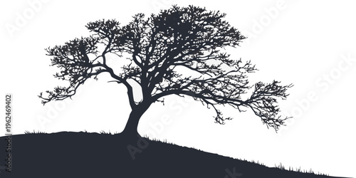 A solitary tree stands tall on a hill during a full moon night.