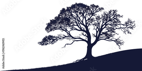 A majestic tree stands tall on a hill, its branches reaching out to the sky.