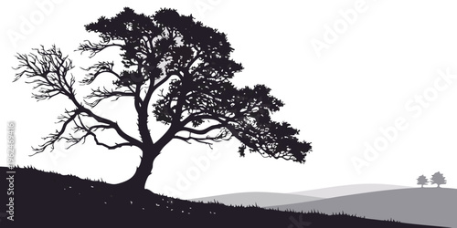A majestic tree stands tall on a hill overlooking a serene landscape at sunset.