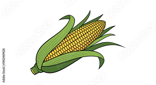 Fresh yellow corn on the cob partially wrapped in green husks, depicted with detailed lines on a plain white background.