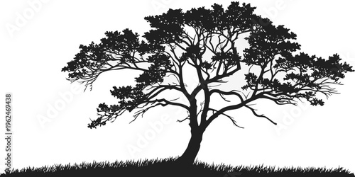 A majestic tree standing tall against a clear sky with a grassy landscape below