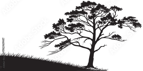 A solitary tree stands tall on a hill, its branches reaching out to the sky.