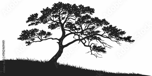 A solitary tree stands tall on a hill, its branches reaching out to the sky