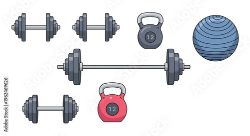 Set of professional gym equipment including various weights like dumbbells, a barbell, kettlebells, and a blue fitness ball on white.