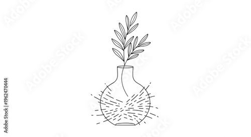 Minimalist line art illustration of a leafy plant stem in a simple round glass vase with light textured reflections.