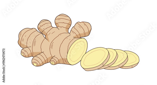 Fresh ginger root depicted whole alongside several thin round slices, commonly used as a flavorful spice or herbal remedy.