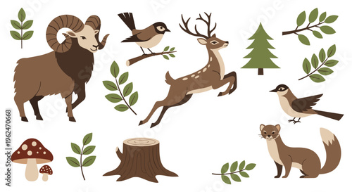 Set of woodland animal illustrations featuring a ram, deer, birds, and a mink surrounded by forest plants and a tree stump.