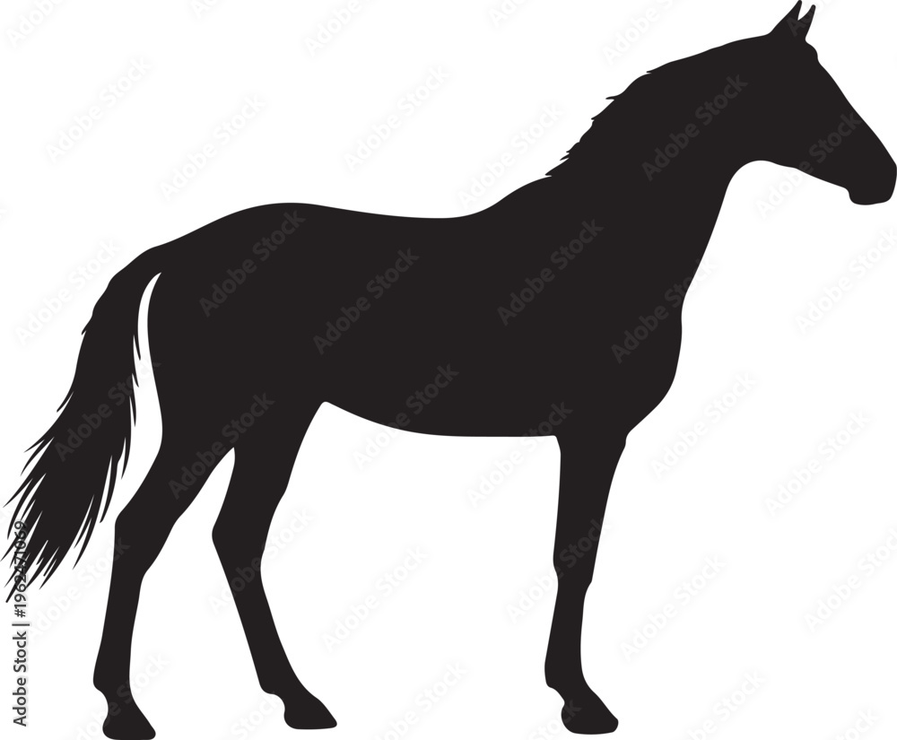 Obraz premium Smart horse icon in silhouette on white background. 