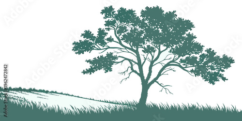 A solitary tree stands tall on a grassy hill with a clear blue sky.