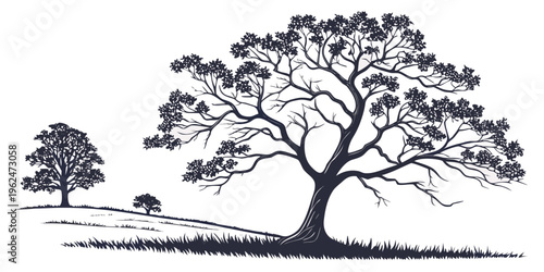 A serene landscape featuring two trees standing tall on a grassy hillside.