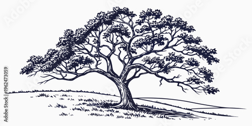 A majestic tree standing tall on a grassy hill under a clear sky.