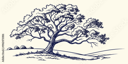 A majestic tree standing tall on a grassy hill under a clear blue sky