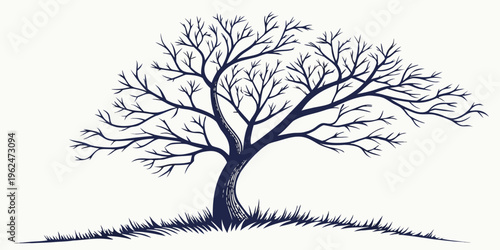 A majestic tree stands tall with its bare branches reaching towards the sky.