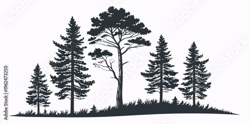 Silhouette of trees on a hilltop against the setting sun