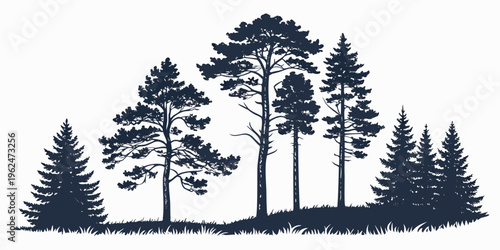 A serene forest landscape with tall trees and a clear sky in the background