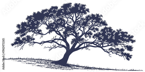 A majestic tree standing tall on a hill with a clear blue sky in the background.