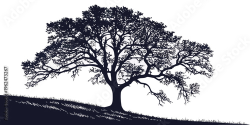 A majestic tree standing tall against a clear sky, its branches reaching out in all directions.