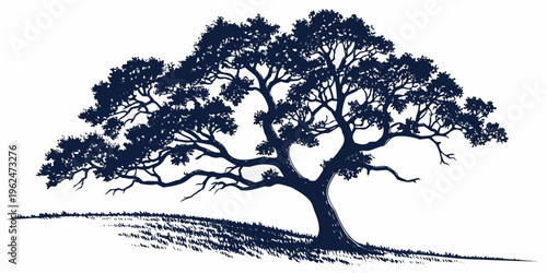 A majestic tree with sprawling branches and a thick trunk standing tall in a natural setting