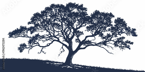 A majestic tree standing tall on a hillside with a clear blue sky in the background