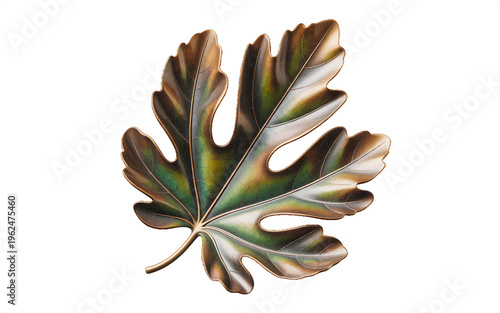 Faded fig leaf illustration, autumnal colors, detailed veins, isolated on white, natural science drawing, aging plant, white background