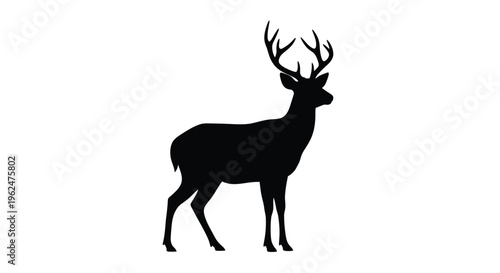 Silhouette of a majestic stag with large antlers stands prominently