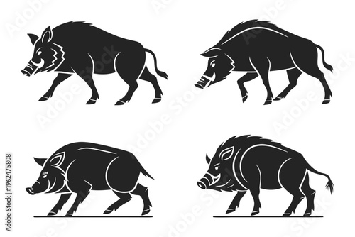 Minimalist black wild boar icons set walking grazing vector illustration