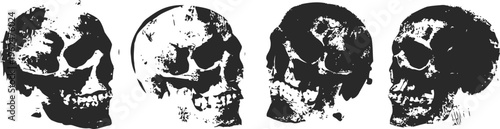 Vintage monochrome human skull illustrations in different angles, detailed anatomical drawings set