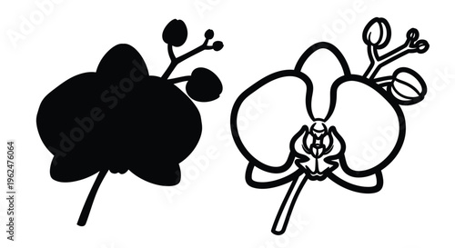 Two orchid flower depictions a silhouette and a line drawing