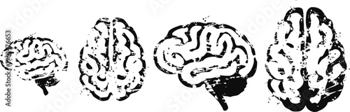 hand drawn brains in various sizes and angles sketch human brain anatomy illustration medical neuroscience concept