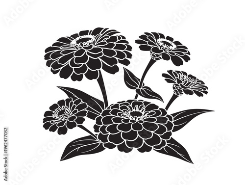 Vibrant zinnia blooms silhouette with lively floral composition 