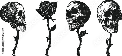 skull and rose illustrations gothic floral design with human skulls and blooming rose, vintage tattoo style, dark art