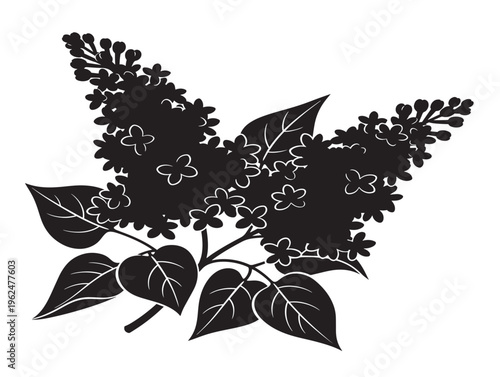 Lilac blossoms silhouette with soft fragrant spring atmosphere 