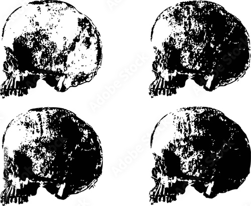 four aged human skulls side view set with realistic texture and shadow details on white background