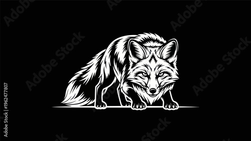 Fox illustration on black background
