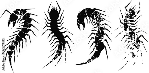 black silhouette centipedes and scorpions set insects collection with segmented bodies, legs, claws, pincers, and antennae
