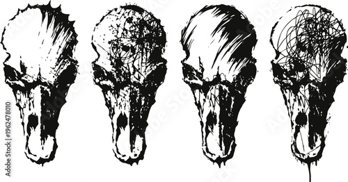 vintage anatomical drawings of bird skulls with detailed shading and texture variations