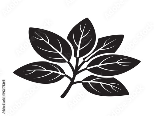 Basil leaf branch silhouette with fresh culinary herb appeal 