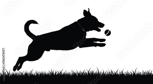 A black silhouette of a german shepherd jumping for a ball