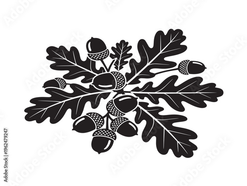 Oak leaves and acorns elegant natural silhouette illustration 