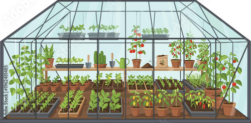 greenhouse with plants garden, agriculture, hothouse, nursery, plants, gardening, flower, nature, growing, cultivation