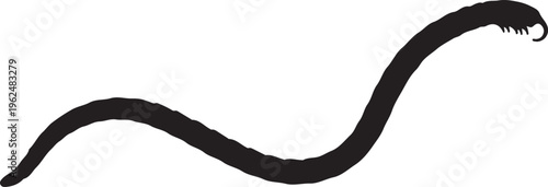 Tapeworm in silhouette on white background.