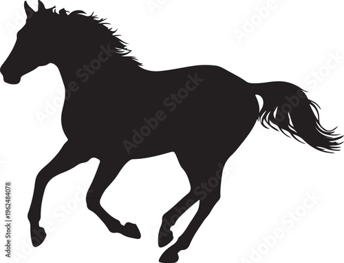 Thoroughbred horse in silhouette on white background.