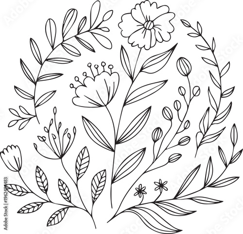 Artistic floral arrangement with round composition featuring hand drawn wildflowers branches and leaves in minimalist line art style